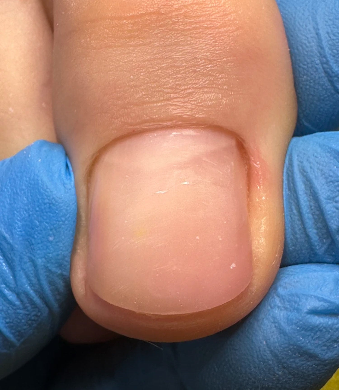 Builder Pro Natural Gel - gel for nail prosthetics